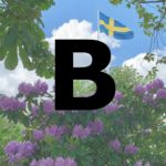 B